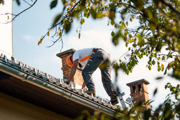 Best Storm Damage Roof Repair  in Ironde, AL
