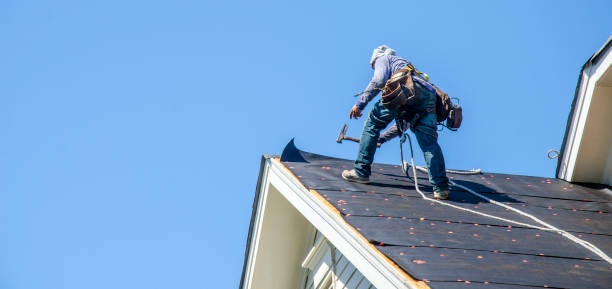 Best Roof Gutter Cleaning  in Ironde, AL